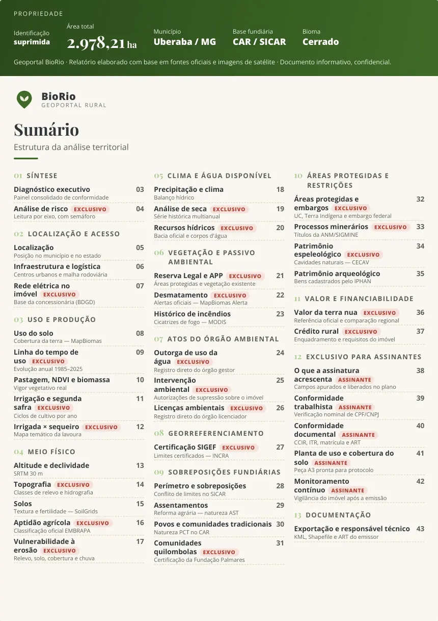 Página 2 do laudo modelo — Sumário
